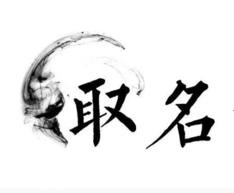  临洮宝宝取名 大师一对一人工起名